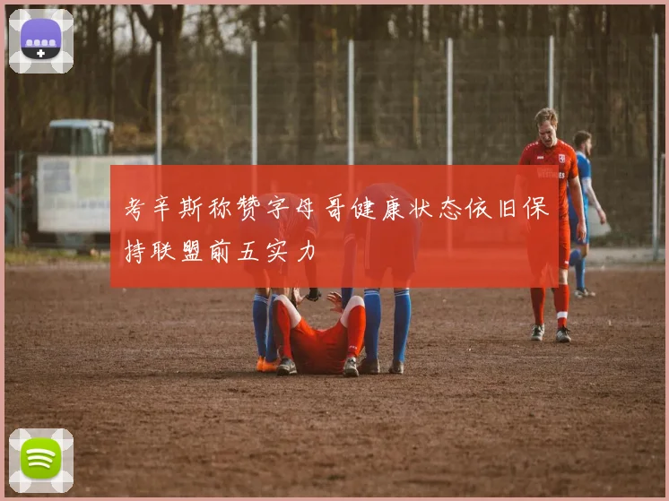 考辛斯称赞字母哥健康状态依旧保持联盟前五实力