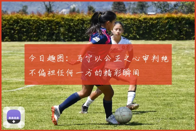 今日趣图：马宁以公正之心审判绝不偏袒任何一方的精彩瞬间