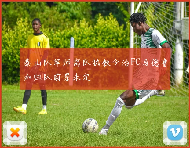泰山队军师离队执教今治FC马德鲁加归队前景未定